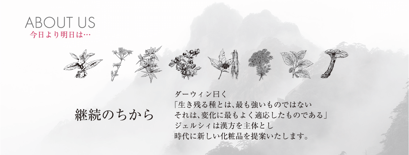 株式会社ジェルシィ | 会社案内